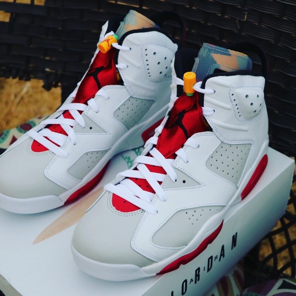Air Jordan 6 “Hares” main image 5